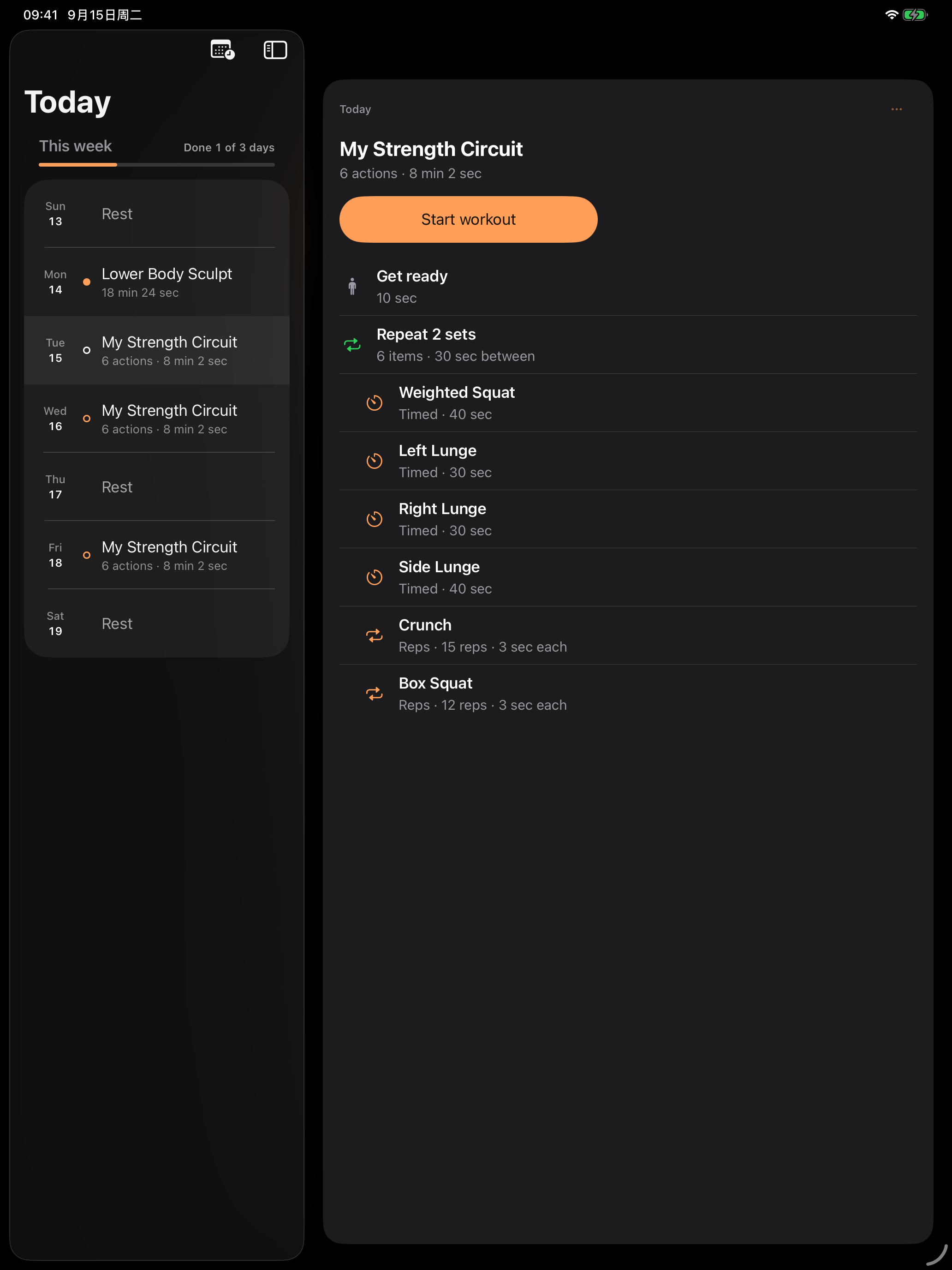 Swayni on iPad — Today's plan and schedule
